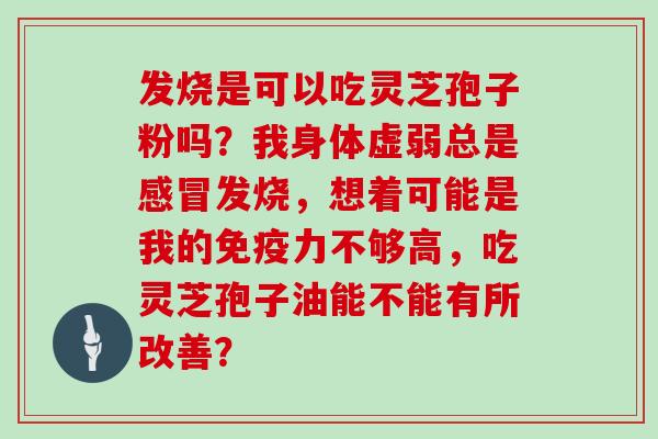 发烧是可以吃灵芝孢子粉吗？我身体虚弱总是感冒发烧，想着可能是我的免疫力不够高，吃灵芝孢子油能不能有所改善？