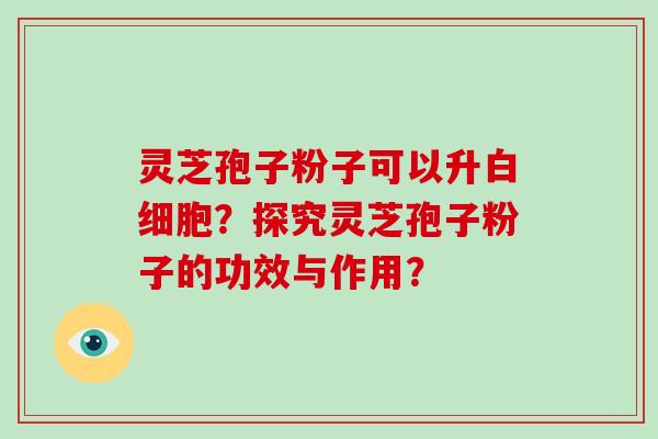 灵芝孢子粉子可以升白细胞？探究灵芝孢子粉子的功效与作用？