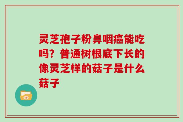 灵芝孢子粉鼻咽癌能吃吗？普通树根底下长的像灵芝样的菇子是什么菇子