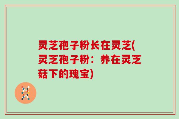 灵芝孢子粉长在灵芝(灵芝孢子粉：养在灵芝菇下的瑰宝)
