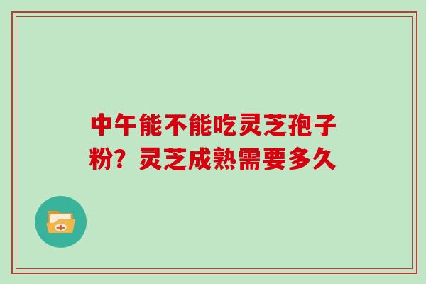 中午能不能吃灵芝孢子粉？灵芝成熟需要多久
