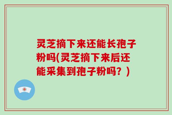 灵芝摘下来还能长孢子粉吗(灵芝摘下来后还能采集到孢子粉吗？)
