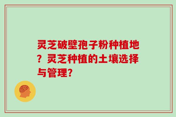 灵芝破壁孢子粉种植地？灵芝种植的土壤选择与管理？