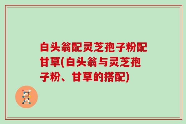 白头翁配灵芝孢子粉配甘草(白头翁与灵芝孢子粉、甘草的搭配)