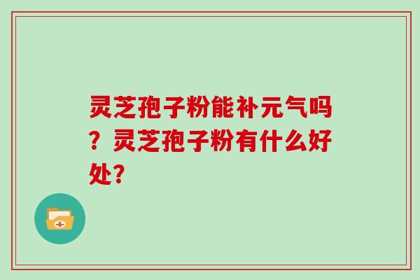 灵芝孢子粉能补元气吗？灵芝孢子粉有什么好处？