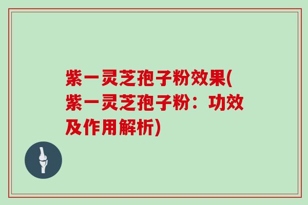 紫一灵芝孢子粉效果(紫一灵芝孢子粉：功效及作用解析)
