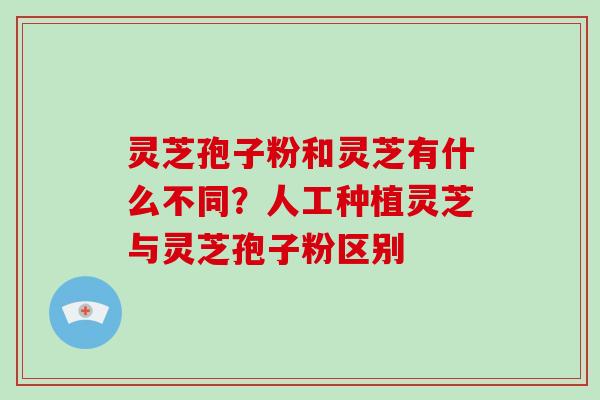灵芝孢子粉和灵芝有什么不同？人工种植灵芝与灵芝孢子粉区别