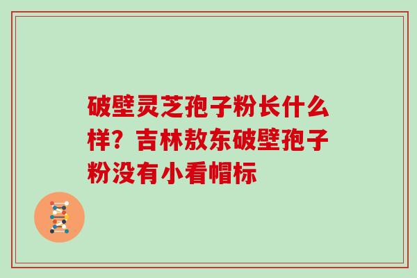 破壁灵芝孢子粉长什么样？吉林敖东破壁孢子粉没有小看帽标