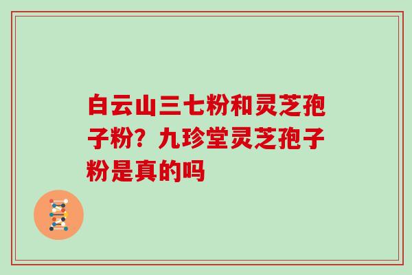 白云山三七粉和灵芝孢子粉？九珍堂灵芝孢子粉是真的吗