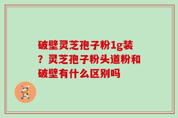 破壁灵芝孢子粉1g装？灵芝孢子粉头道粉和破壁有什么区别吗