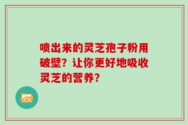喷出来的灵芝孢子粉用破壁？让你更好地吸收灵芝的营养？