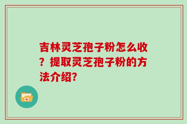 吉林灵芝孢子粉怎么收？提取灵芝孢子粉的方法介绍？