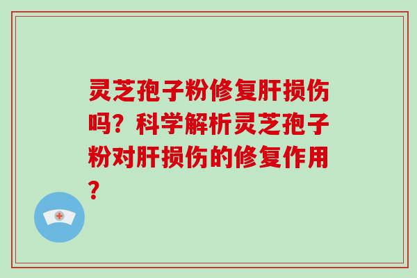 灵芝孢子粉修复肝损伤吗？科学解析灵芝孢子粉对肝损伤的修复作用？