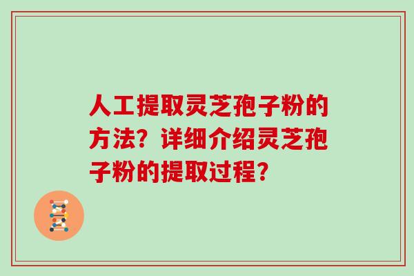 人工提取灵芝孢子粉的方法？详细介绍灵芝孢子粉的提取过程？