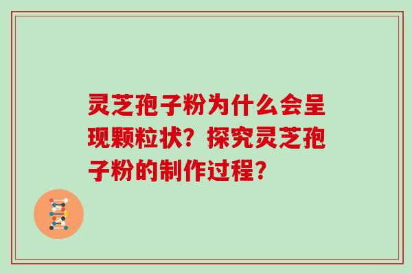 灵芝孢子粉为什么会呈现颗粒状？探究灵芝孢子粉的制作过程？