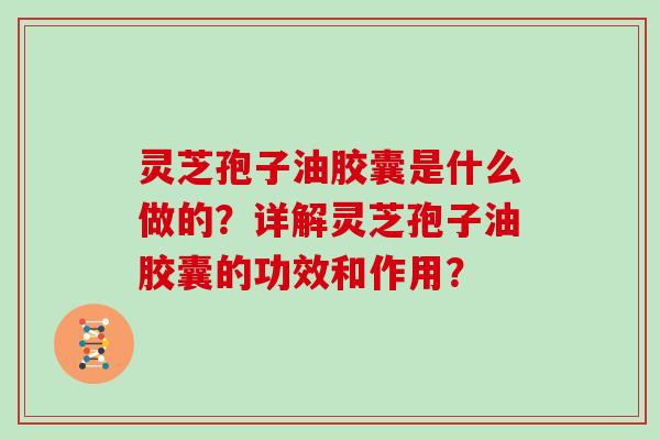 灵芝孢子油胶囊是什么做的？详解灵芝孢子油胶囊的功效和作用？