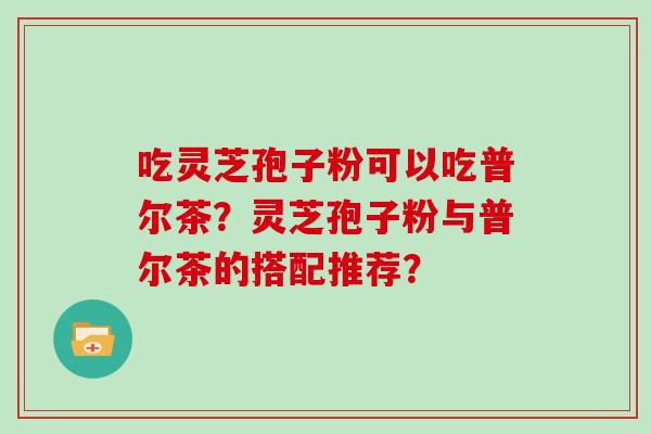 吃灵芝孢子粉可以吃普尔茶？灵芝孢子粉与普尔茶的搭配推荐？