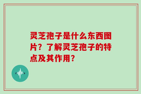灵芝孢子是什么东西图片？了解灵芝孢子的特点及其作用？