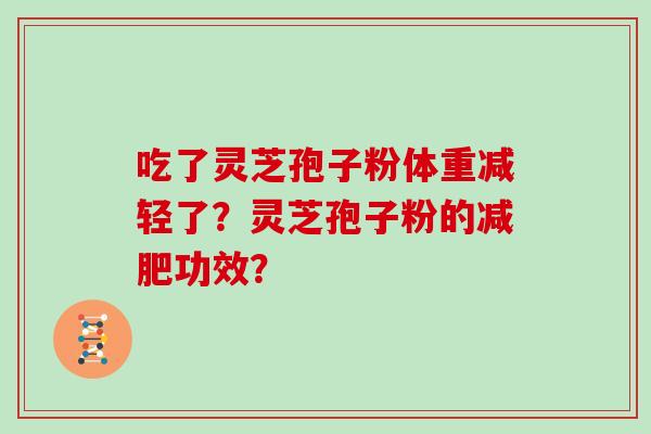 吃了灵芝孢子粉体重减轻了？灵芝孢子粉的减肥功效？