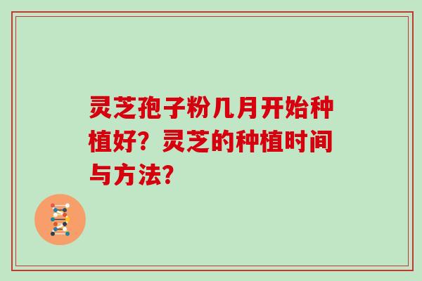 灵芝孢子粉几月开始种植好？灵芝的种植时间与方法？