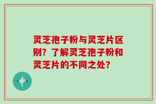 灵芝孢子粉与灵芝片区别？了解灵芝孢子粉和灵芝片的不同之处？