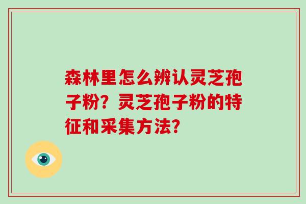 森林里怎么辨认灵芝孢子粉？灵芝孢子粉的特征和采集方法？