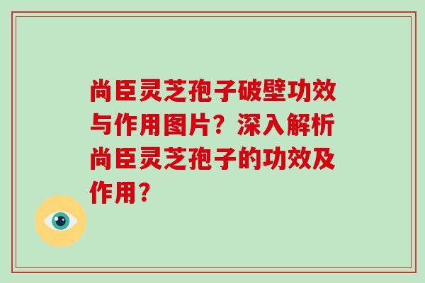 尚臣灵芝孢子破壁功效与作用图片？深入解析尚臣灵芝孢子的功效及作用？