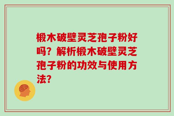 椴木破壁灵芝孢子粉好吗？解析椴木破壁灵芝孢子粉的功效与使用方法？-第1张图片-灵芝大师