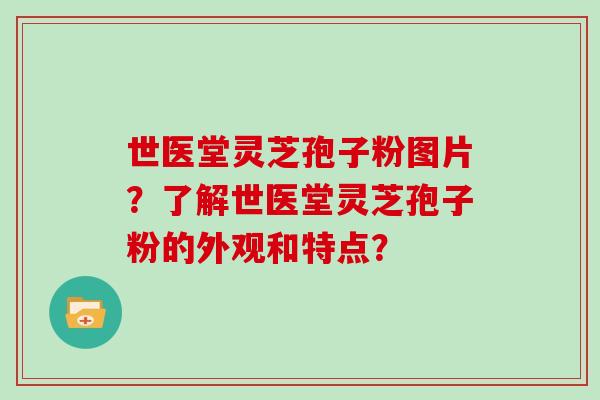 世医堂灵芝孢子粉图片？了解世医堂灵芝孢子粉的外观和特点？