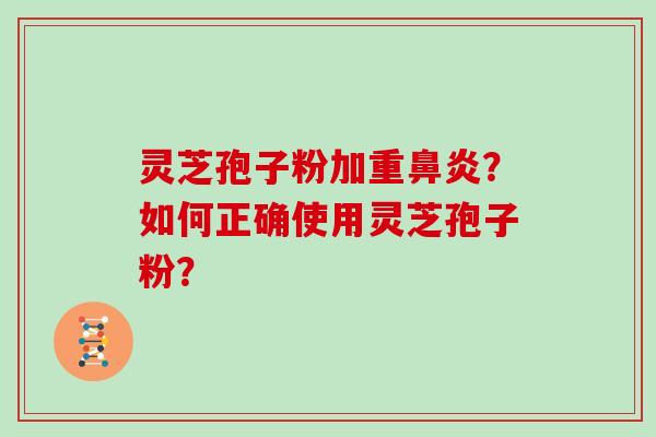 灵芝孢子粉加重鼻炎？如何正确使用灵芝孢子粉？