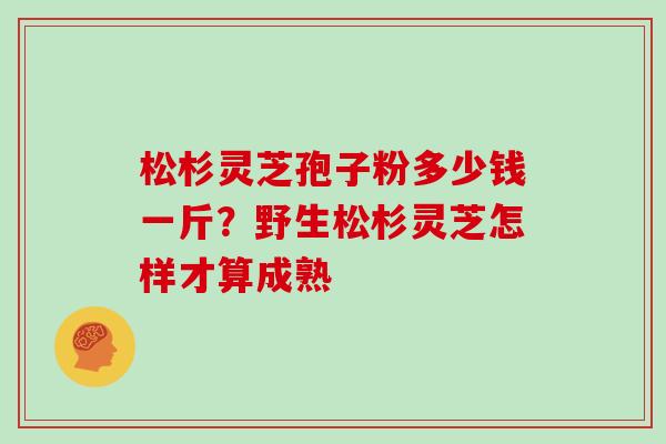 松杉灵芝孢子粉多少钱一斤？野生松杉灵芝怎样才算成熟