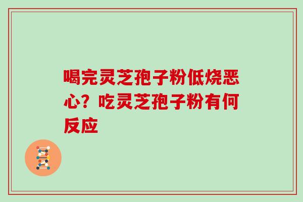 喝完灵芝孢子粉低烧恶心？吃灵芝孢子粉有何反应-第1张图片-灵芝大师