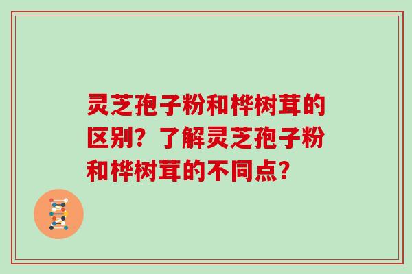 灵芝孢子粉和桦树茸的区别？了解灵芝孢子粉和桦树茸的不同点？
