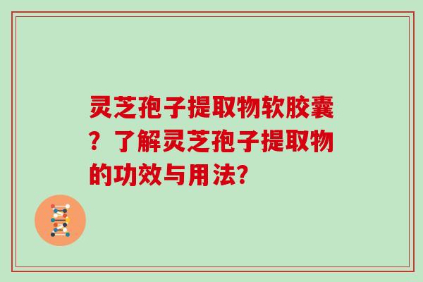 灵芝孢子提取物软胶囊？了解灵芝孢子提取物的功效与用法？
