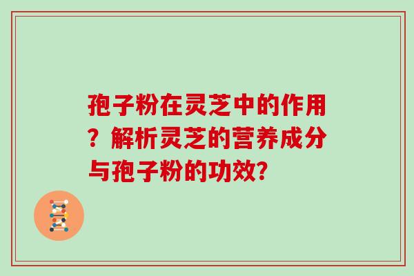 孢子粉在灵芝中的作用？解析灵芝的营养成分与孢子粉的功效？
