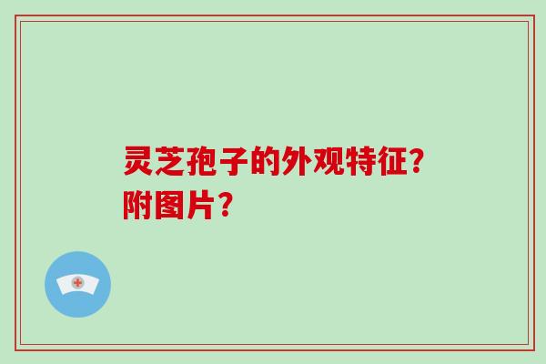 灵芝孢子的外观特征？附图片？