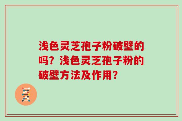浅色灵芝孢子粉破壁的吗？浅色灵芝孢子粉的破壁方法及作用？