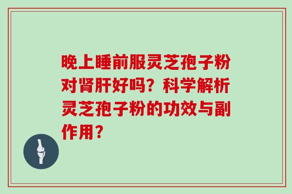 晚上睡前服灵芝孢子粉对肾肝好吗？科学解析灵芝孢子粉的功效与副作用？