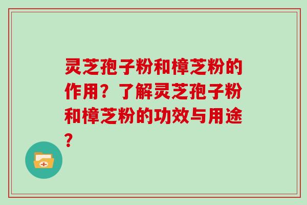 灵芝孢子粉和樟芝粉的作用？了解灵芝孢子粉和樟芝粉的功效与用途？