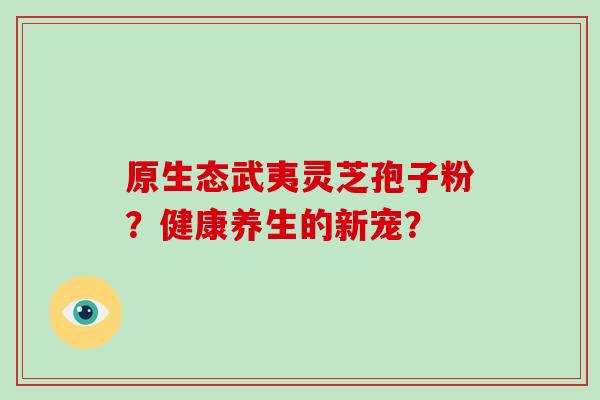 原生态武夷灵芝孢子粉？健康养生的新宠？