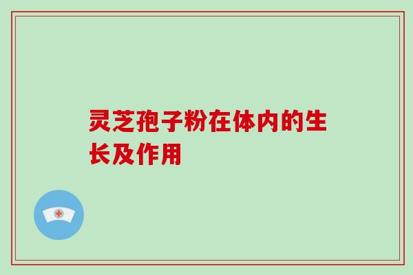 灵芝孢子粉在体内的生长及作用