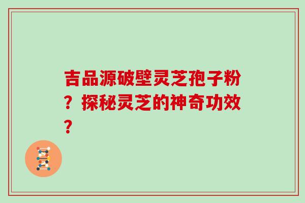 吉品源破壁灵芝孢子粉？探秘灵芝的神奇功效？
