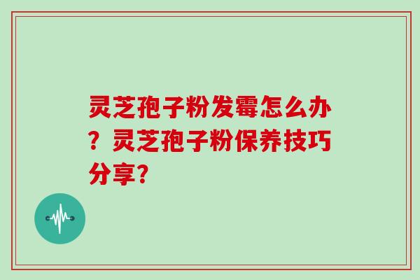 灵芝孢子粉发霉怎么办?灵芝孢子粉保养技巧分享?-第1张图片-灵芝大师 灵芝孢子粉发霉怎么办?灵芝孢子粉保养技巧分享?-第1张图片-灵芝大师