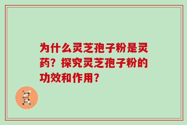 为什么灵芝孢子粉是灵药？探究灵芝孢子粉的功效和作用？