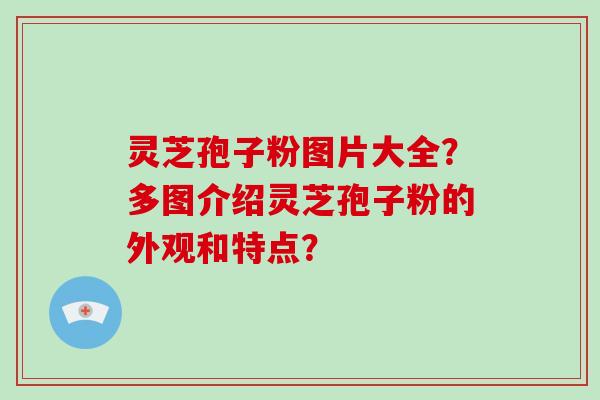 灵芝孢子粉图片大全？多图介绍灵芝孢子粉的外观和特点？