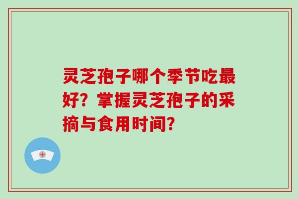 灵芝孢子哪个季节吃最好？掌握灵芝孢子的采摘与食用时间？