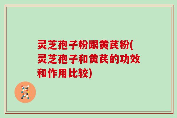 灵芝孢子粉跟黄芪粉(灵芝孢子和黄芪的功效和作用比较)