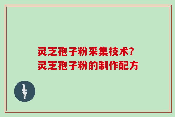 灵芝孢子粉采集技术？灵芝孢子粉的制作配方