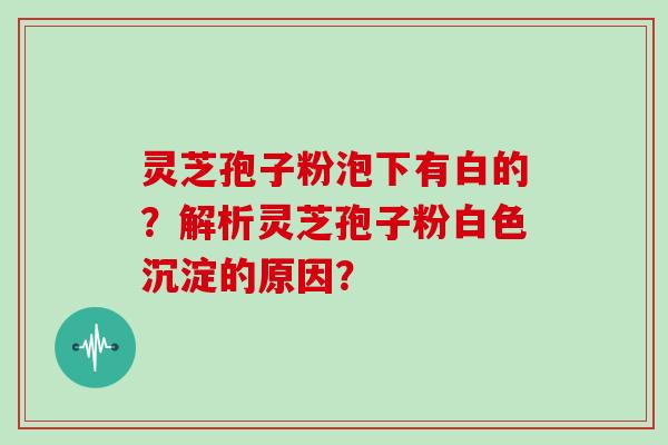 灵芝孢子粉泡下有白的？解析灵芝孢子粉白色沉淀的原因？