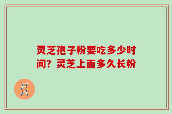 灵芝孢子粉要吃多少时间？灵芝上面多久长粉